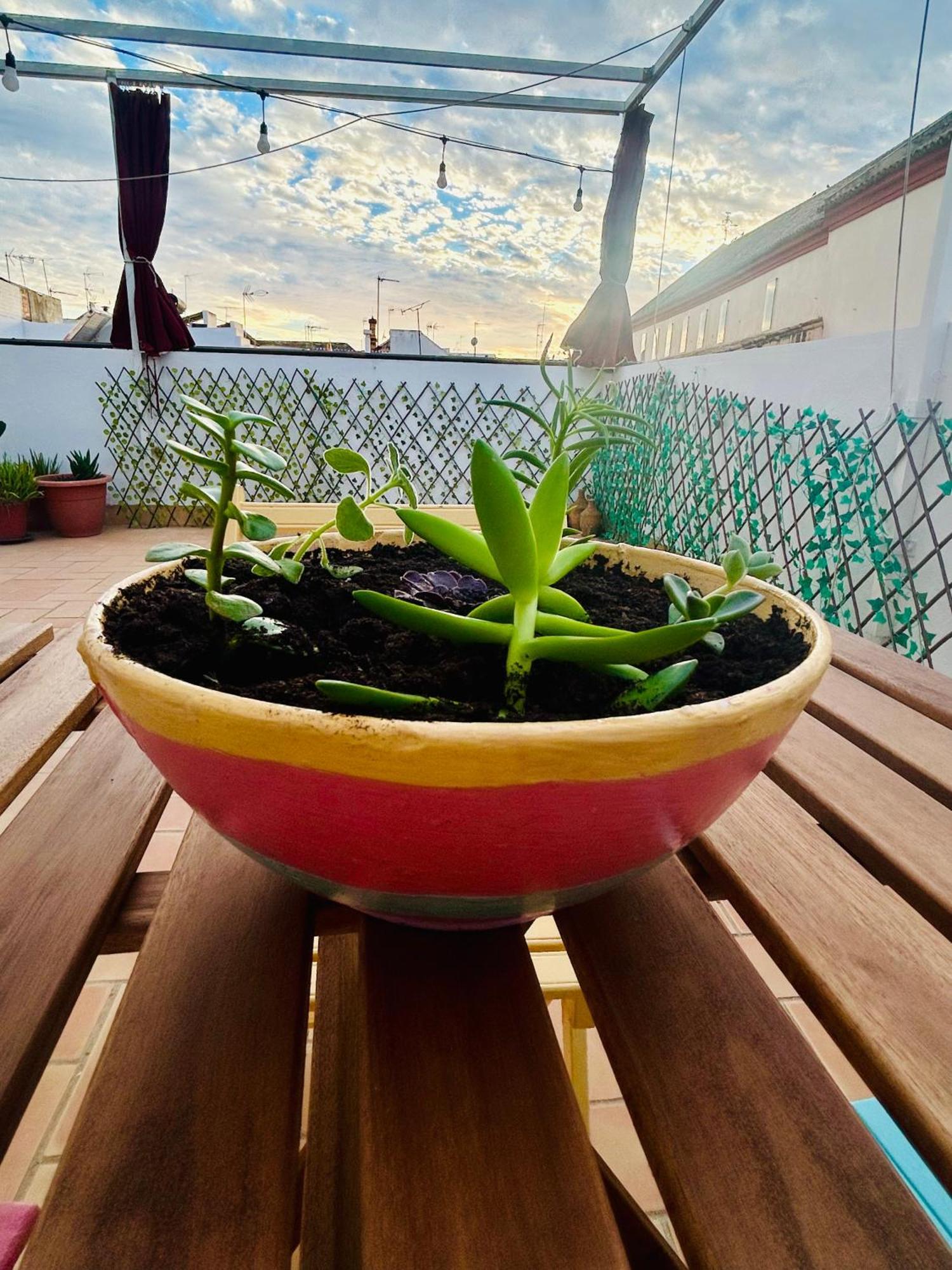 La Azotea Del Sol Apartment Seville Luaran gambar