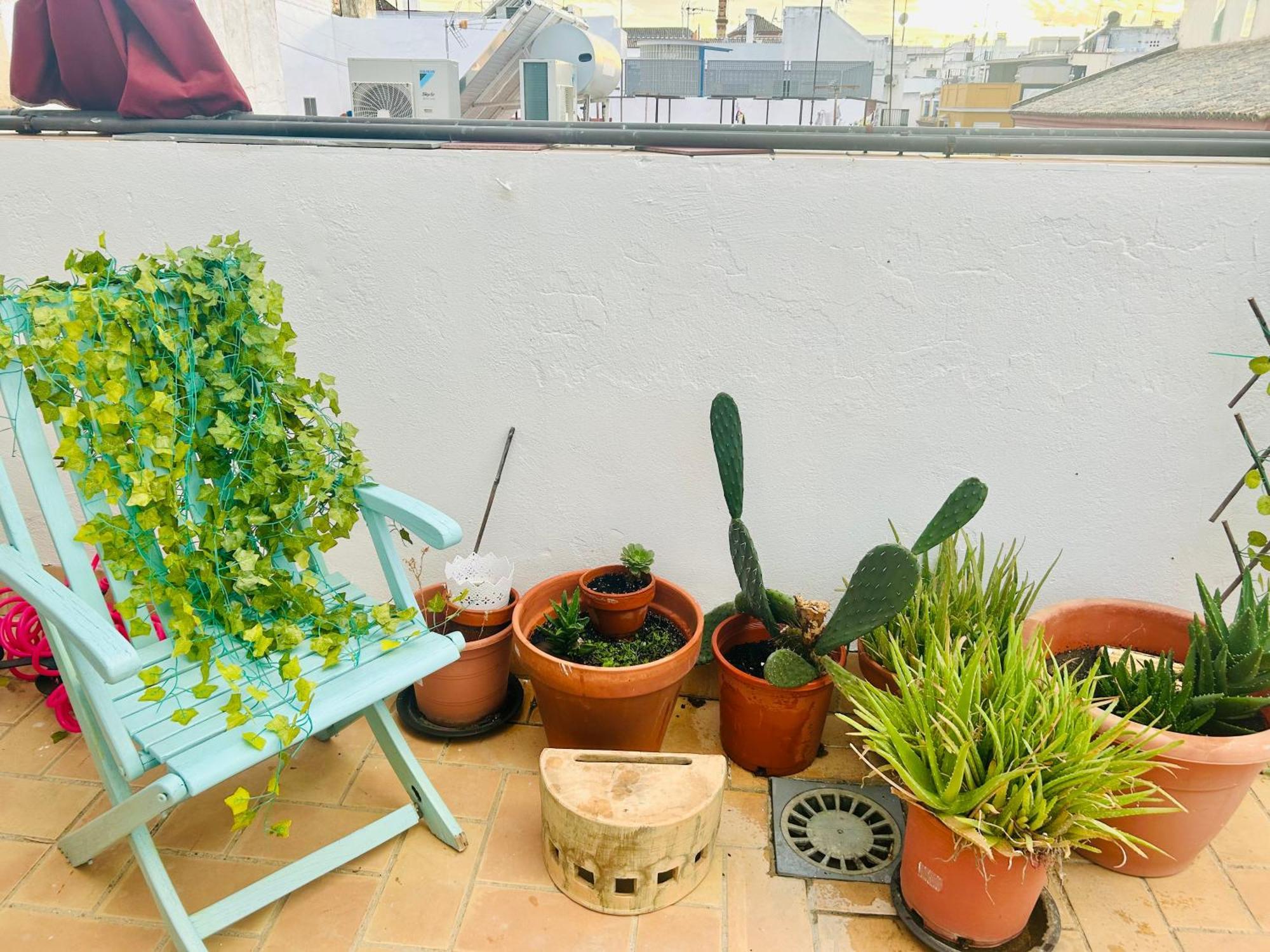 La Azotea Del Sol Apartment Seville Luaran gambar